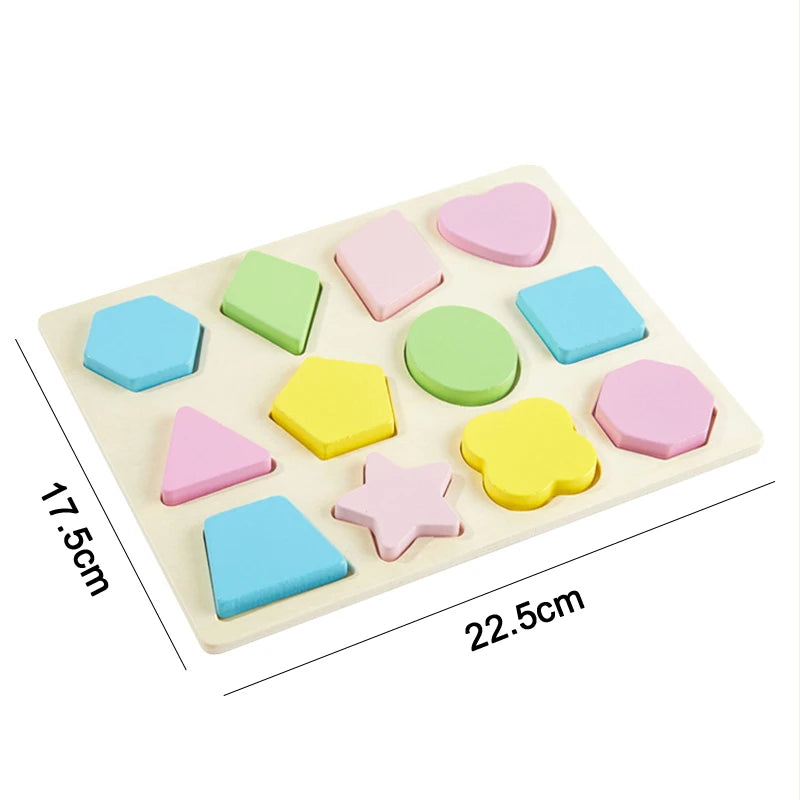 Montessori 3D Wooden Puzzles